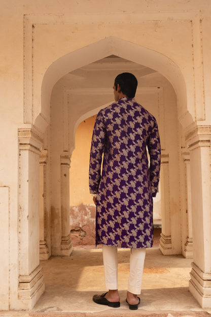 Shaurya kurta Set