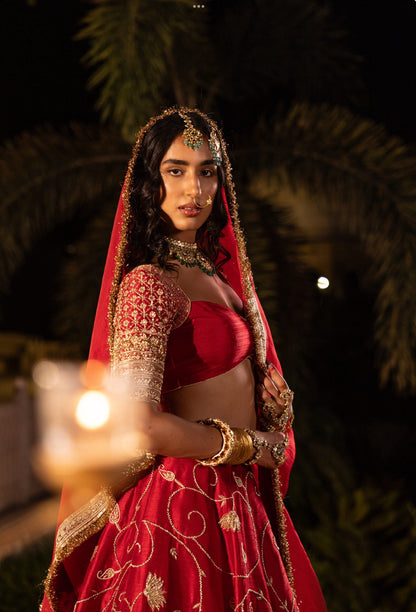 Rajyashree Lehenga Set