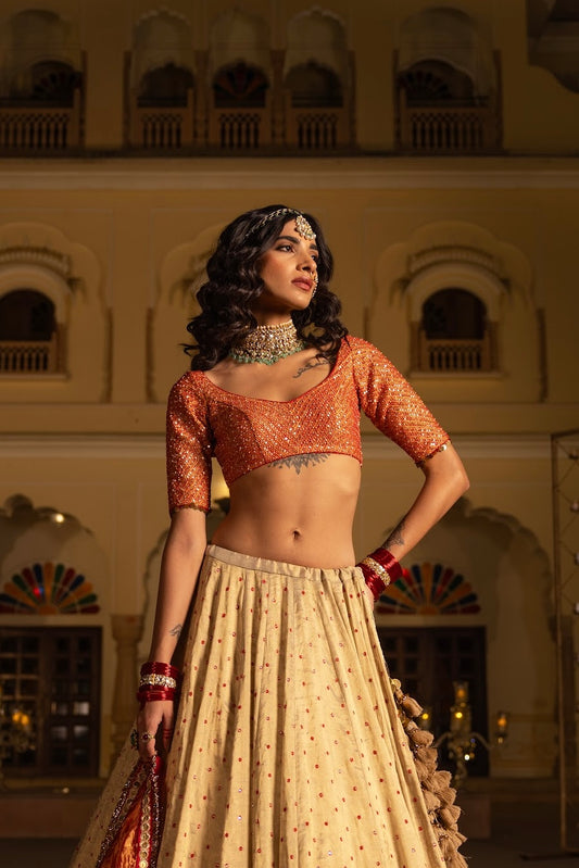 Shivranjini Blouse
