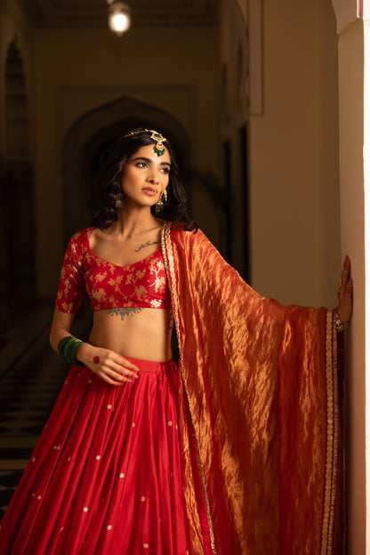 Priyadarshini Lehenga Set
