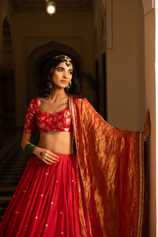 Priyadarshini Lehenga Set
