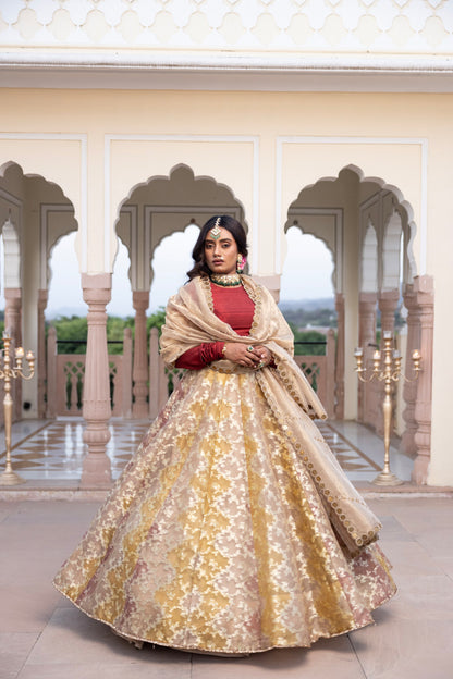 Dharini Lehenga