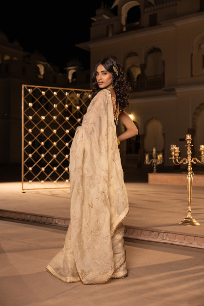 Gaurvi Saree