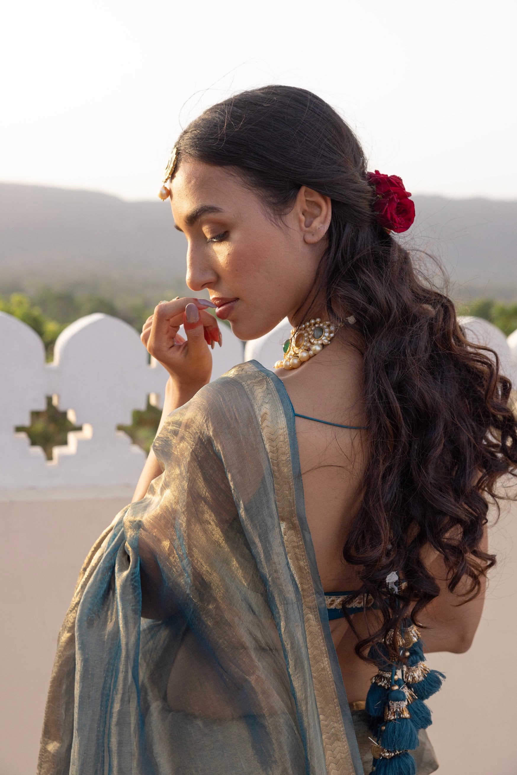 Navratri Saree