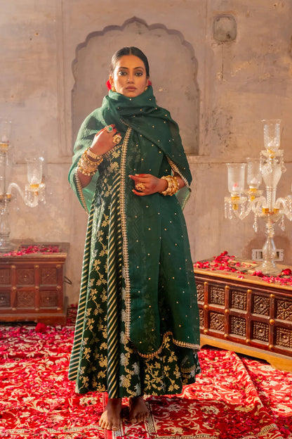 Prakruti Anarkali Set