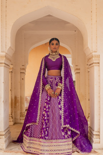 Hansika Lehenga Set