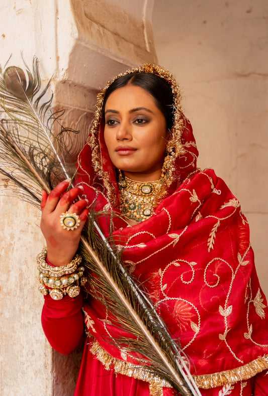 Veena Anarkali Set