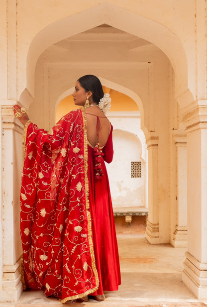 Veena Anarkali Set