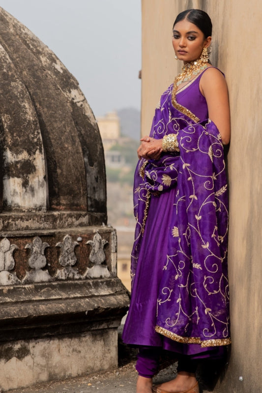 Veena Anarkali Set - Anjanase
