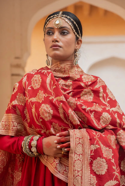 Mrigesha Anarkali Set