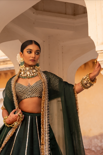 Hemagini Lehenga Set