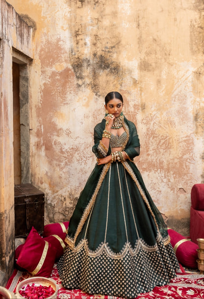 Hemagini Lehenga Set