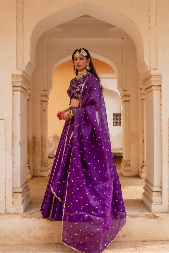 Vaibhavi Lehenga Set