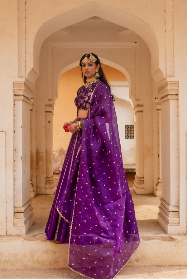 Vaibhavi Lehenga Set