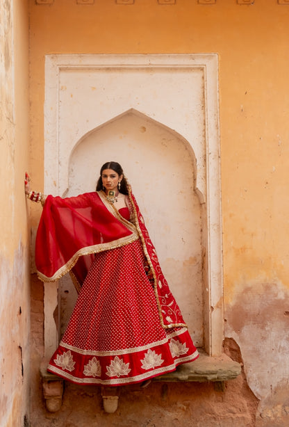 Panna Bai Lehenga Set
