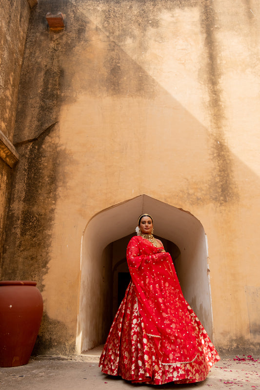 Bhanumati Lehenga - Anjanase