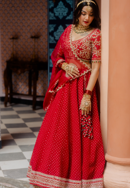 Rasila Lehenga Set - Anjanase