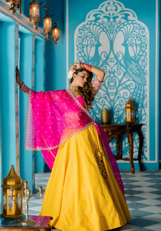 Mishri Lehenga Set