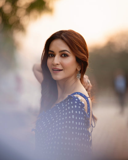 Kriti Kharbanda Saree