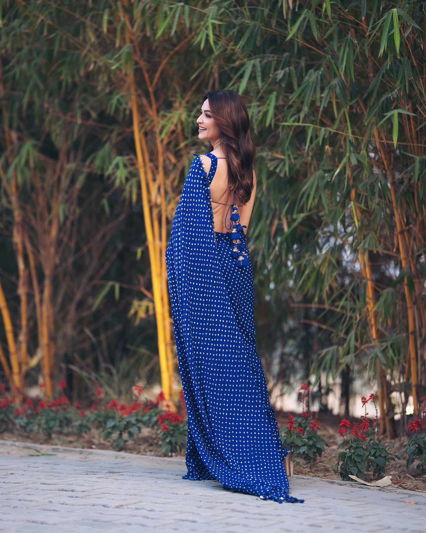 Kriti Kharbanda Saree