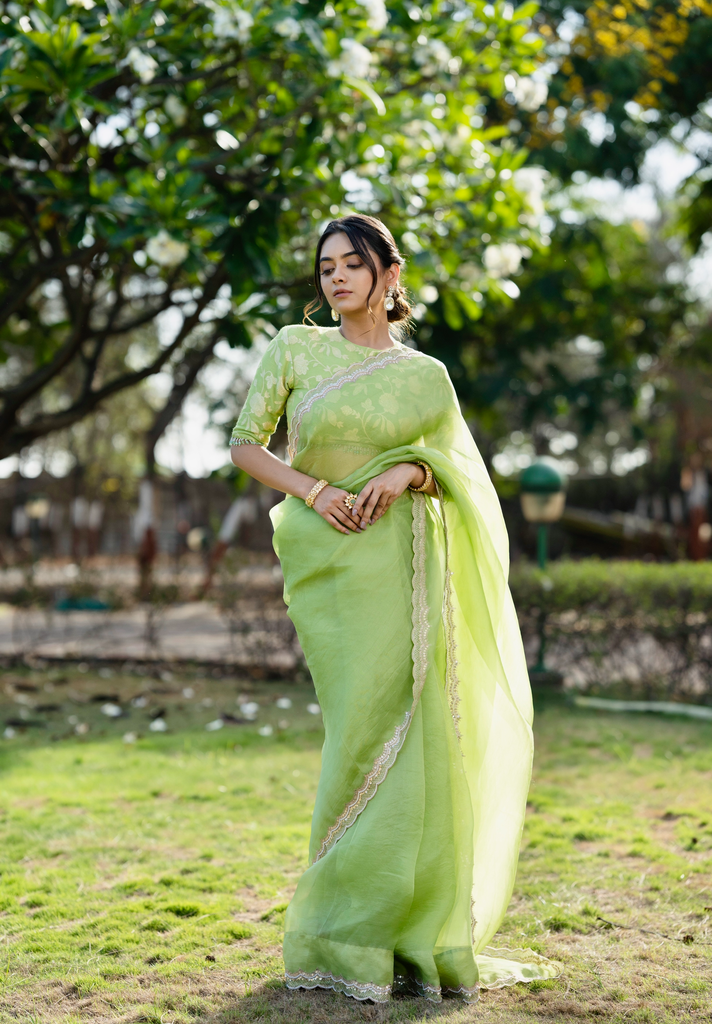 organza saree
