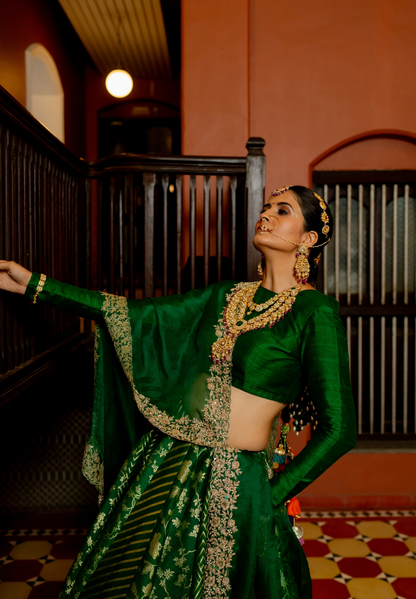 Padmavati Dupatta