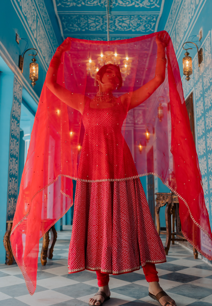 Lalima Dupatta