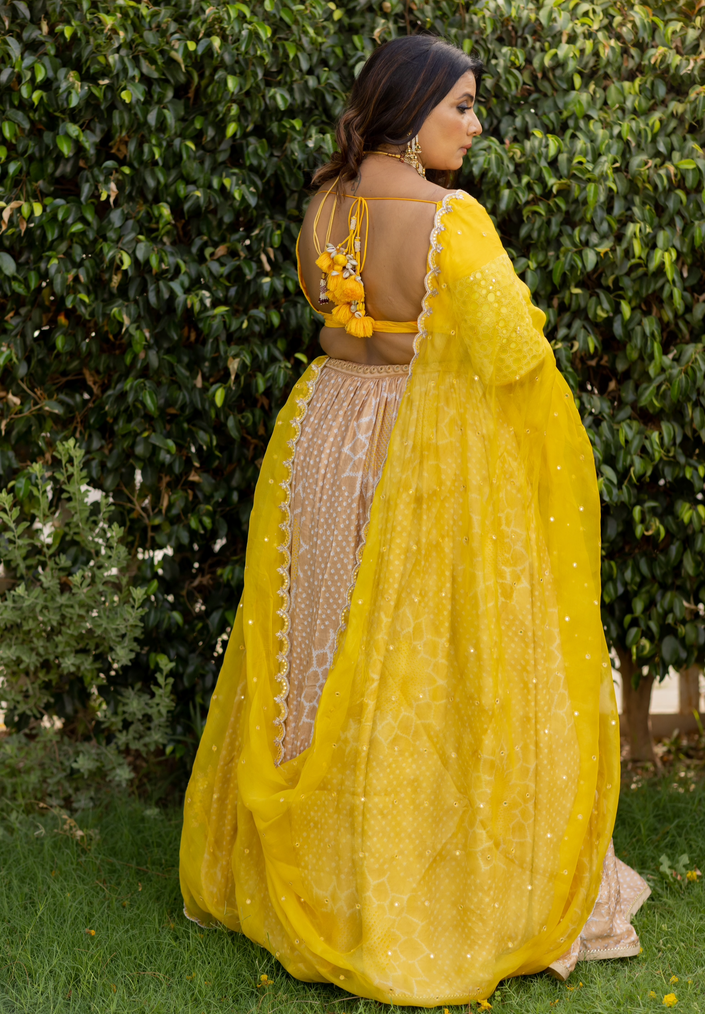 Sonal Dupatta - Surajmukhi