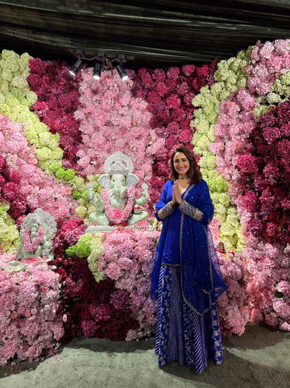 Pragya Jaiswal - Maanvi Sharara Set