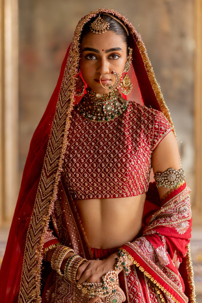 Padmini Lehenga Set