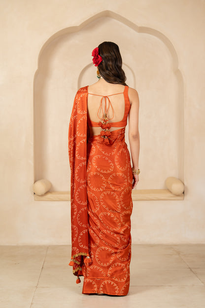 Gulnaar Saree