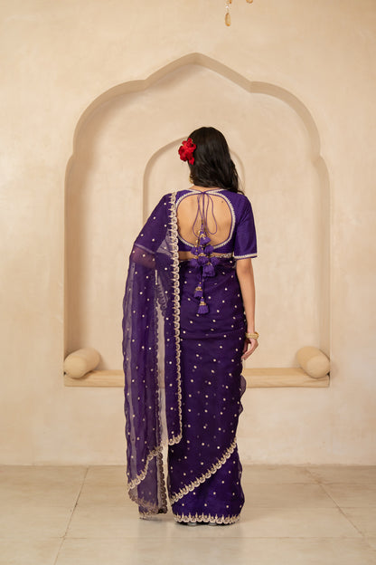 Damini Saree