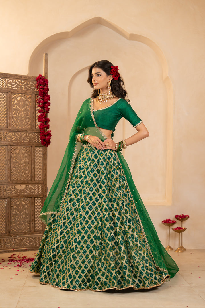 Mishka Lehenga Set