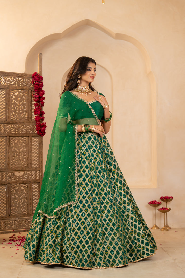 Mishka Lehenga Set