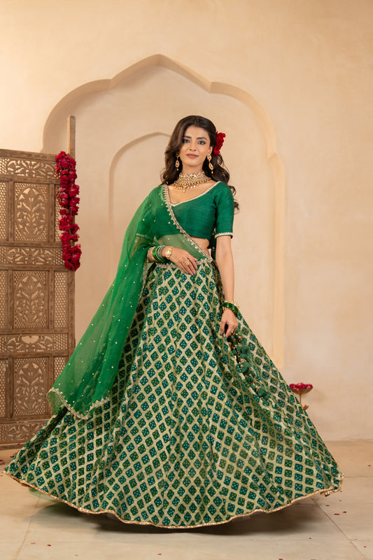 Mishka Lehenga Set