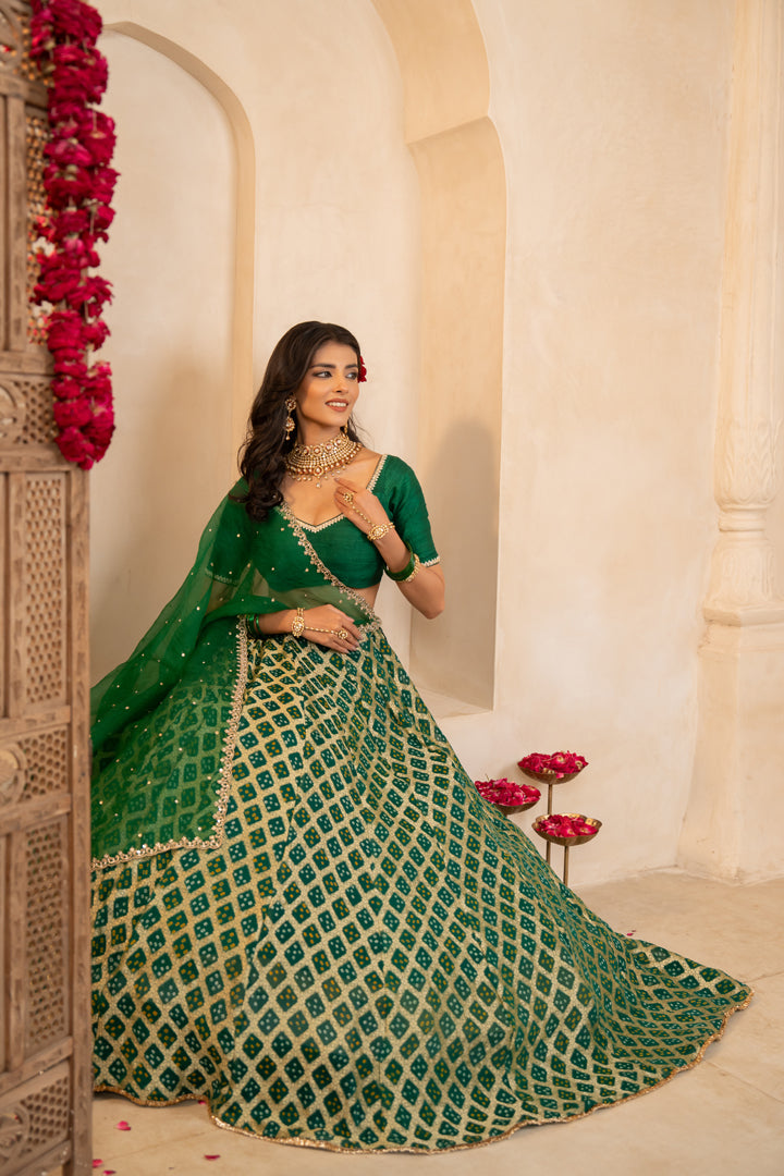 Mishka Lehenga Set
