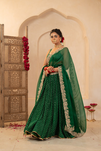 Sanam Lehenga Set