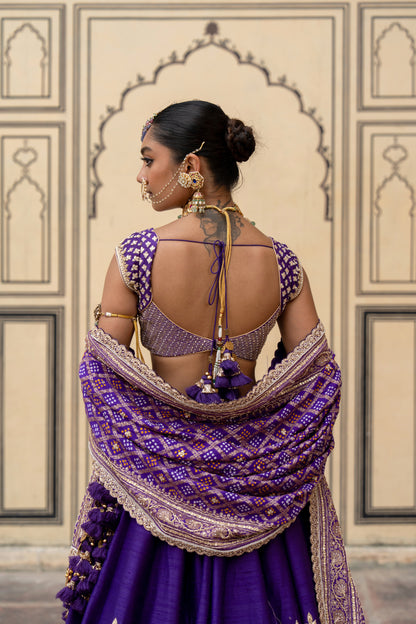 Gayatri Lehenga Set - Anjanase