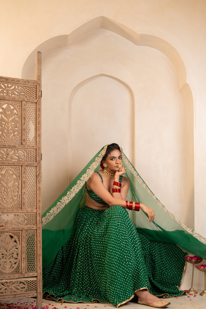 Sanam Lehenga Set