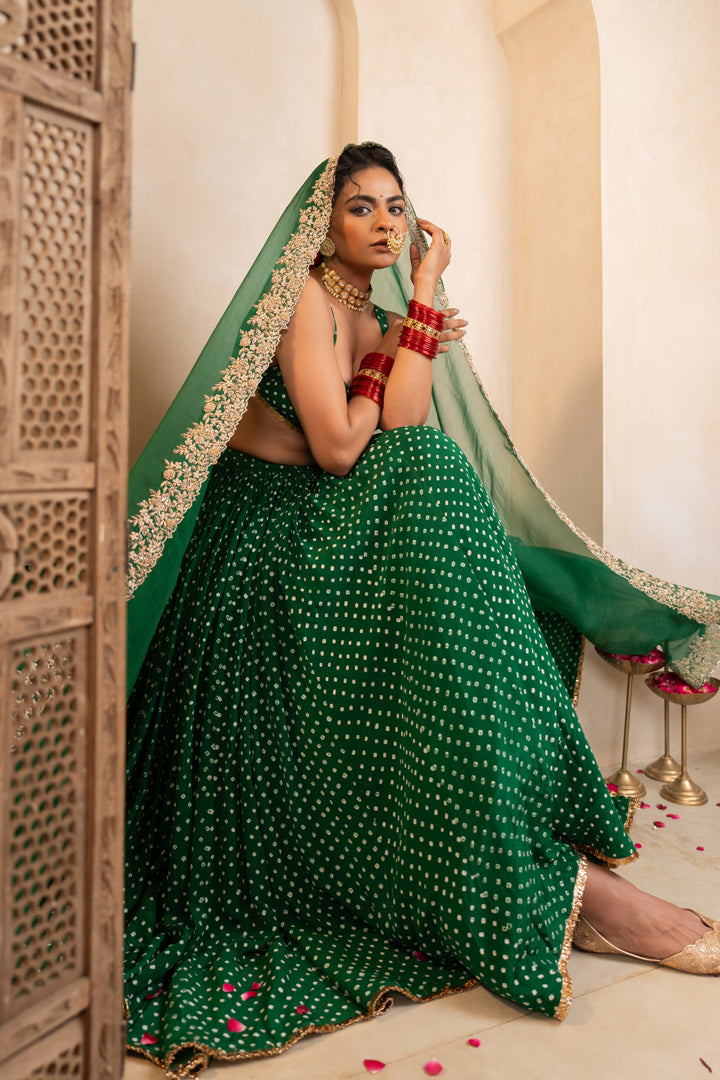 Sanam Lehenga Set