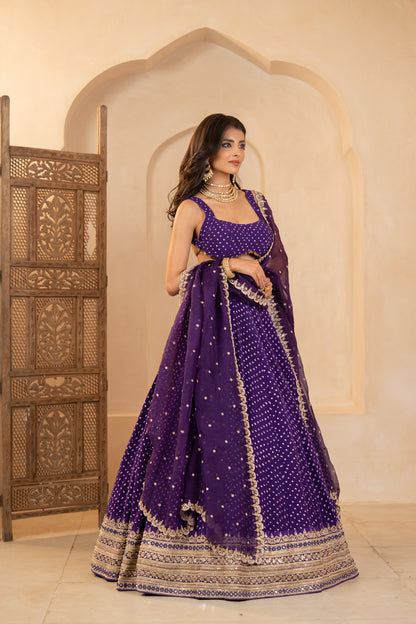 Vaanya Lehenga Set