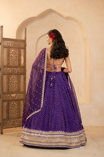 Vaanya Lehenga Set