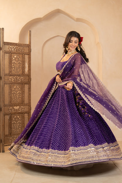 Vaanya Lehenga Set