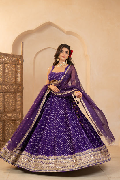 Vaanya Lehenga Set