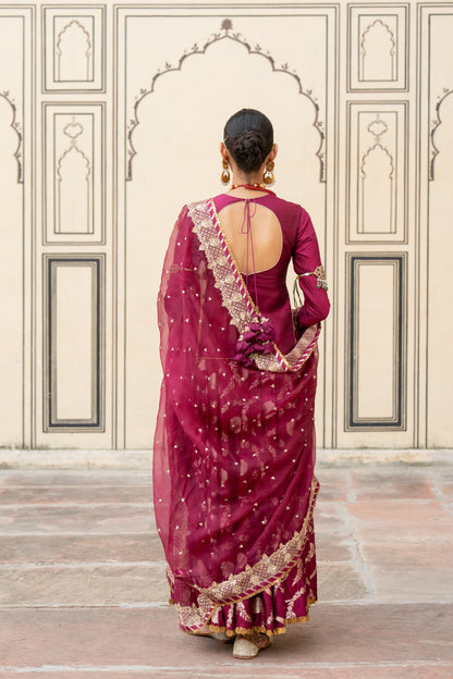 Damayanti Lehenga Set - Anjanase