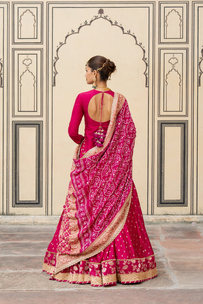 Rupali Lehenga Set - Anjanase