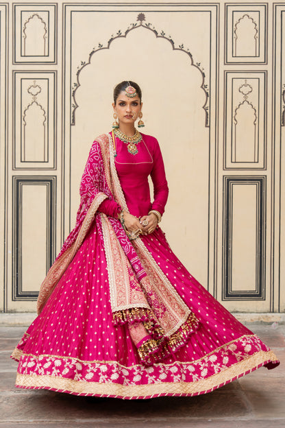 Rupali Lehenga Set - Anjanase