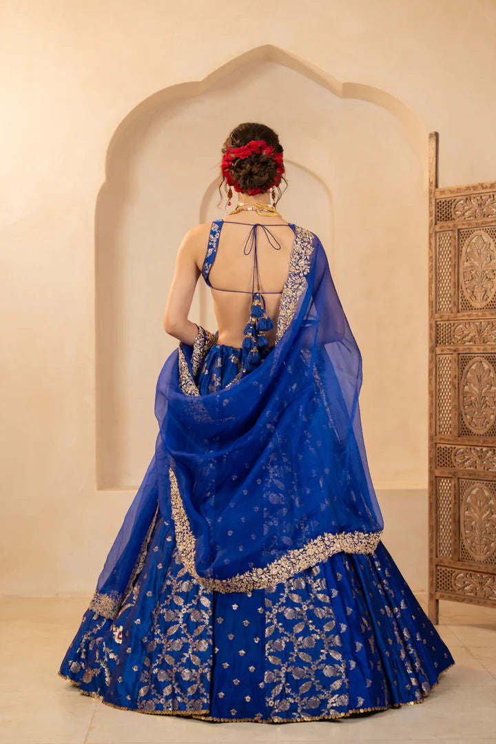 Vibhuti Lehenga Set