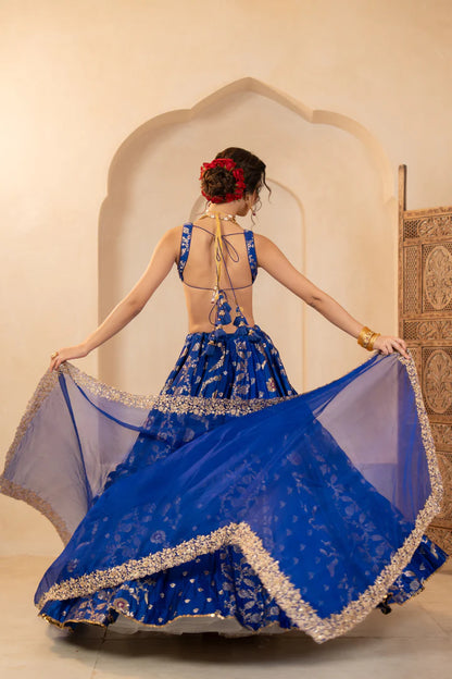 Vibhuti Lehenga Set