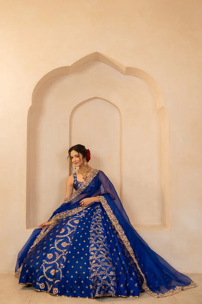 Vibhuti Lehenga Set
